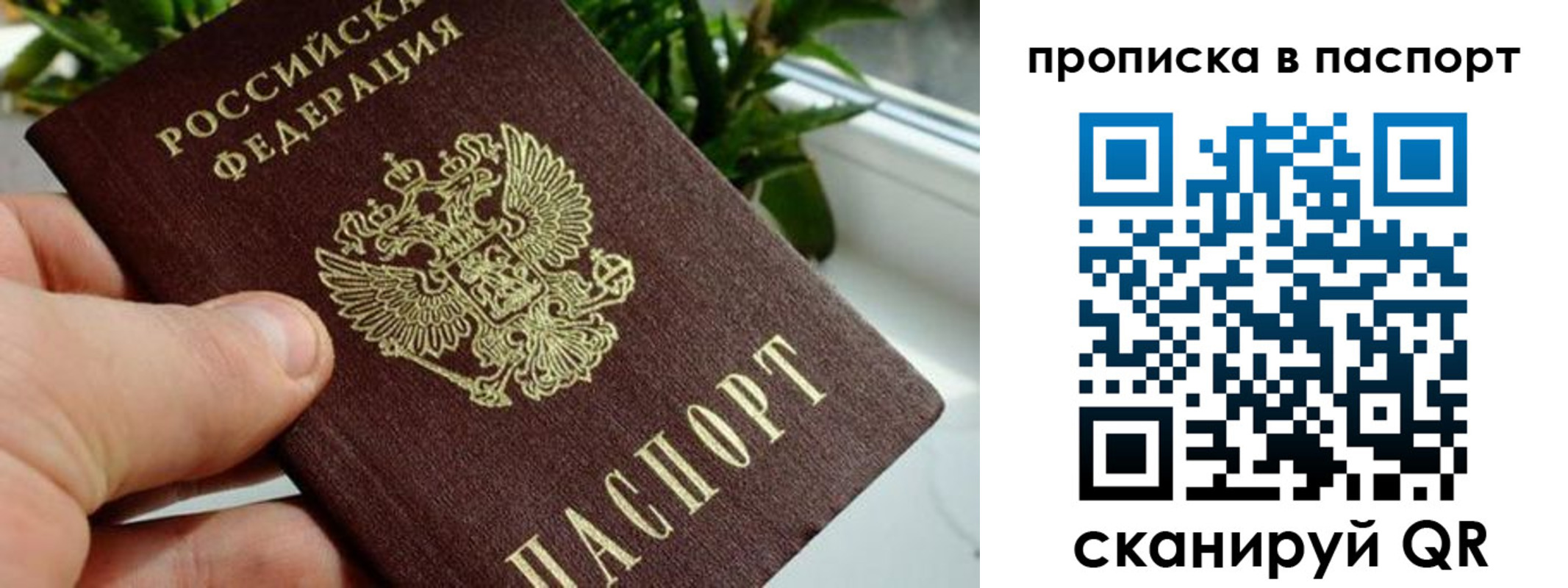 пропишу в квартире в Морозовске